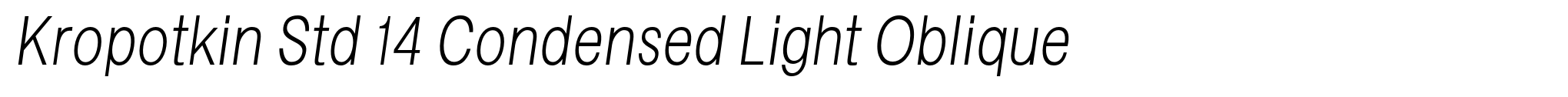 Kropotkin Std 14 Condensed Light Oblique image